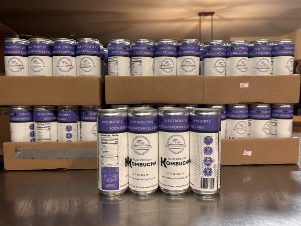 Elderberry Kombucha - 12 oz can